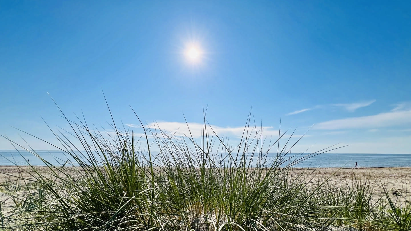 Grass and a beach
